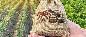 crop insurance